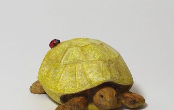 止まった時間-亀 / Stopped Time-turtle